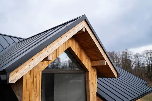 Taking care of the roof of your house.