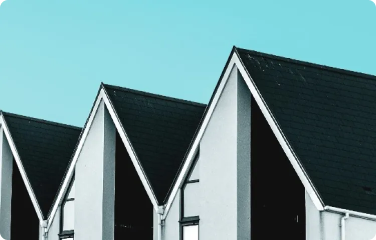 The First 48 Hours After a Hail Storm: What to Do Before You Call Anyone