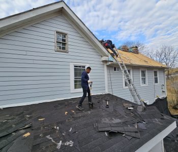 professional Roofing services